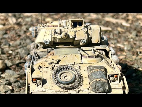 CBD for Cats Video Preview