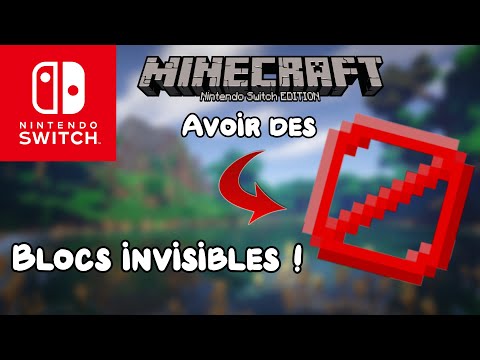 Have the Invisible Blocks!  #4 Minecraft Nintendo Switch