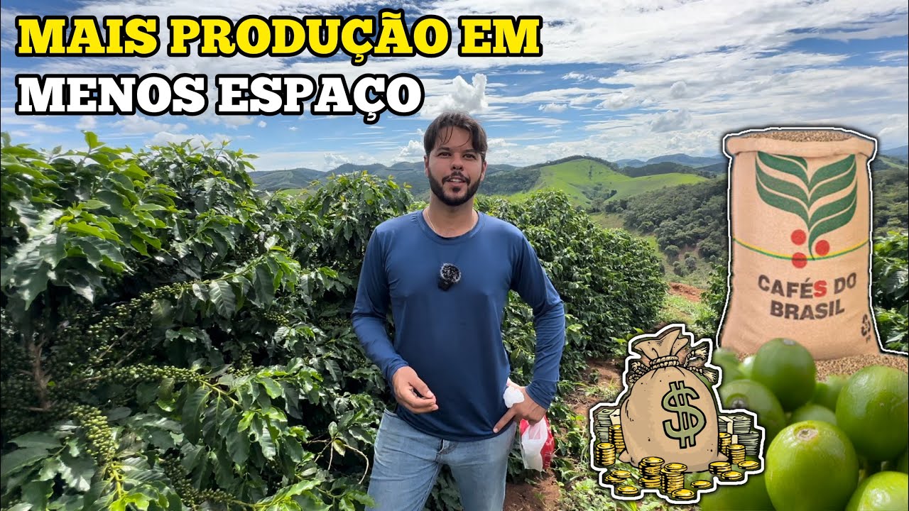 FUTURO DA CAFEICULTURA BRASILEIRA FIQUE ATENTO ANTES DE PLANTAR CAFÉ