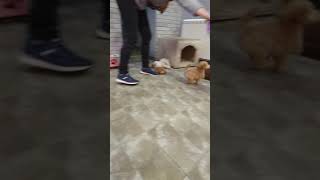 Nothing compers to you of Coral Empire