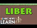 Word Roots: Liber