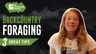3 GREAT Beginner Backcountry Foraging Tips