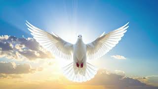 SALMO 16 com ORAÇÃO - Interpretação de Déborah Spadotto