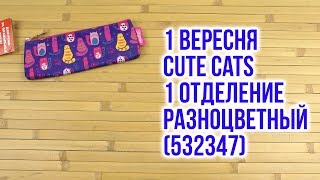 1 Вересня Cute cats (532347) - відео 1