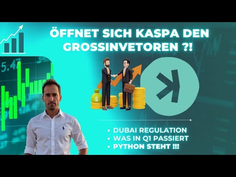 KASPA opens up to large investors!! What you need to know about the cryptocurrency of the moment ...