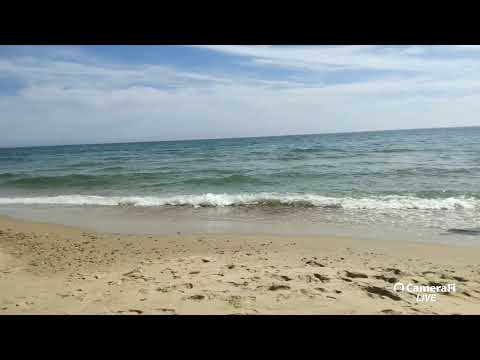 Bournemouth Beach live