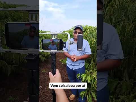 Pautas de Acrelândia