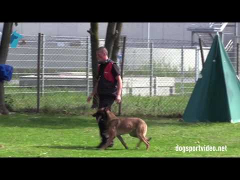 1. DMV Championat - Joel Clercq - Nelson