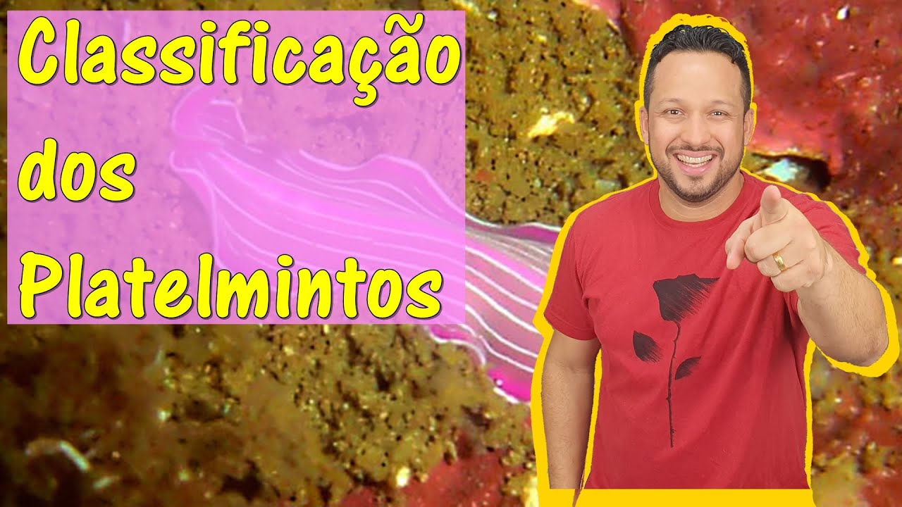 Classificação dos Platelmintos - Turbellaria, Cestoda e Trematoda - Platelmintos - Zoologia