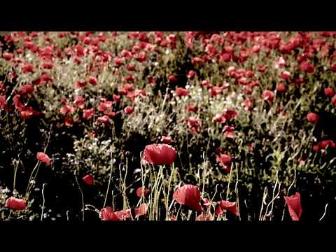 A Meditation for Kids and Families: Breath Counting for Focus and Relaxation (with music)