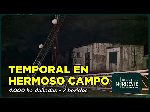 Temporal en Hermoso Campo: 4.000 ha dañadas y 7 heridos leves | Requena