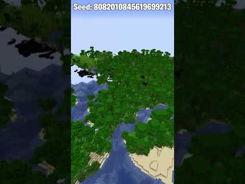 MinecraftHUB - Incredible Jungle Seed for Minecraft 1.17.1!