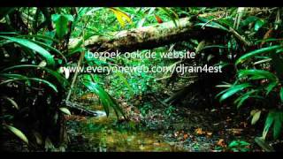 aankondiging van dj rain4est / juli 2011