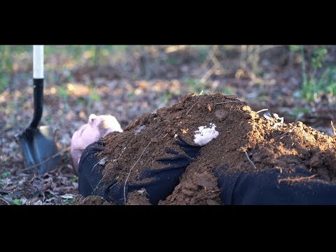 Crypt - Rise Up ft. Blindsight (Official Music Video)