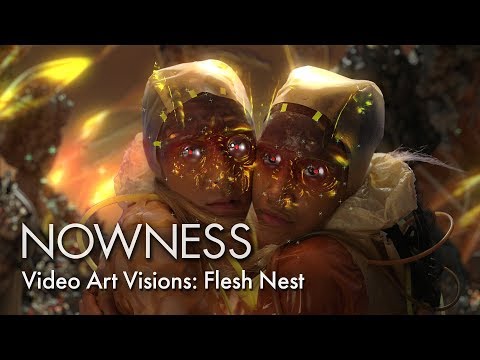 Andrew Thomas Huang's Flesh Nest