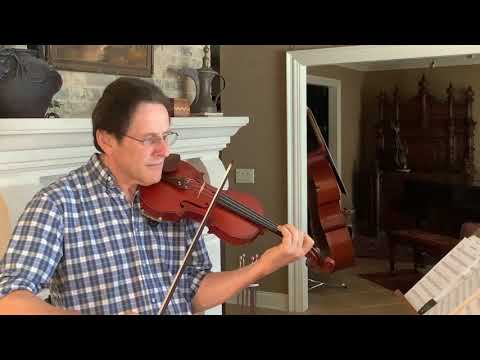 French antique 4/4 full size violin by Nicolas Bertolini image 14
