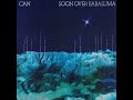Can - Chain Reaction