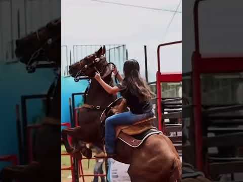 This Cowgirl ROCKS! Total control of this  beautiful horse!💪❤️🔥#cowgirlsrock#rodeo #barrelracing