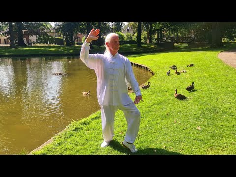 The Tai Chi 37 form of Cheng Man Ching by Wim Rensen