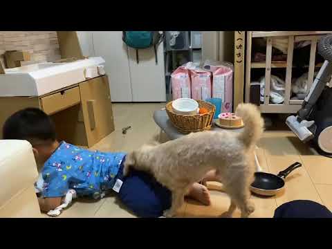 こども学科 【成長記録】やめて！と言える大切さ笑