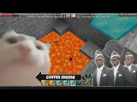 Coffin Meme but Cat is Vibing - Minecraft