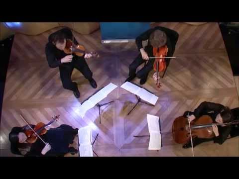 Franz Schubert String Quartet: Death and the Maiden, Second Movement