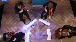 Franz Schubert String Quartet: Death and the Maiden, Second Movement