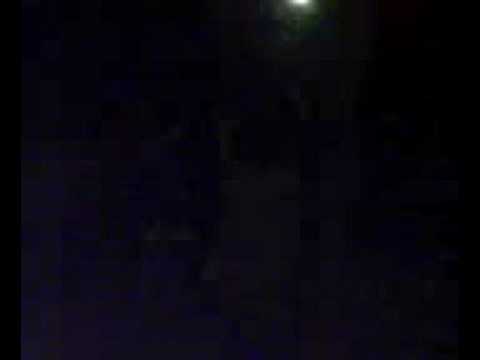 Widawa: KUNG FU ADEL