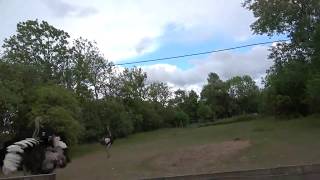 Ostriches and Chirping (Elliott Smith)