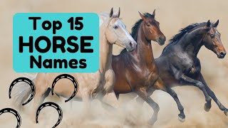 Horse Names | Joyful Equestrian