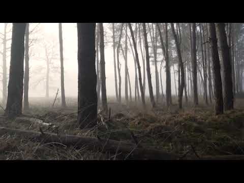 111101 689925384 tiny