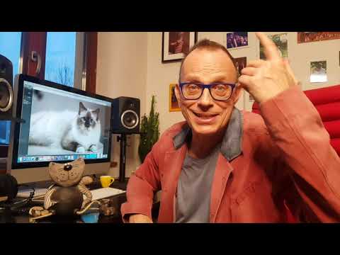 MPD 424 - DZIEŃ KOTA  :)))