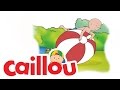 Caillou Caillou Of The Antarctic S04E09 Cartoon For Kids