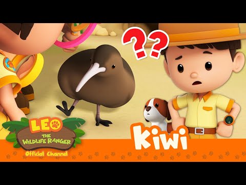 THIS BIRD HAS NO WINGS?! 🪶🐦 | Kiwi | Leo the Wildlife Ranger | #compilation