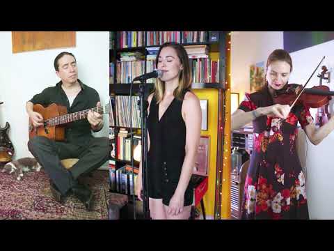 Мікрофон інструментальний Prodipe VL21-C (для скрипки та альта)