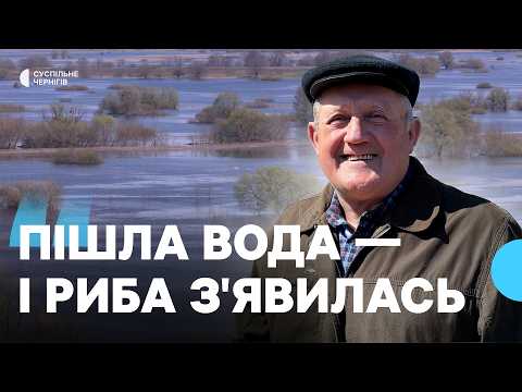 Как паводок 2026 года в Мезинском нацпарке повлиял на природные процессы