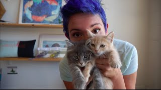 Covered With Kittens Ep. 24, Hairball (Sarah Donner)