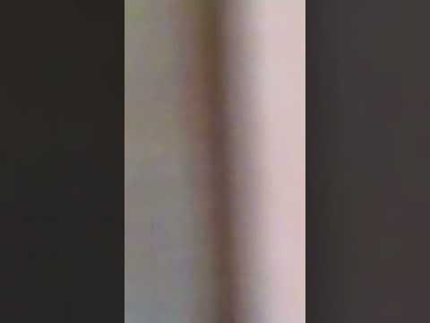 JASVIR MUNDI DY KABOOTAR INDIANAPOLIS USA 🇺🇸🇮🇳