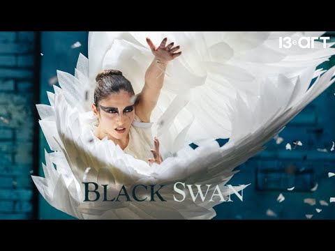 BLACK SWAN : l’histoire derrière Le Lac des Cygnes que vous n’aviez jamais imaginée !
Une...