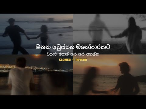 මතක අවුස්සන මනෝපාරකට ( Slowed + Reverb ) සිංදු එකතුවක් | Manoparakata Sinhala Songs Collection