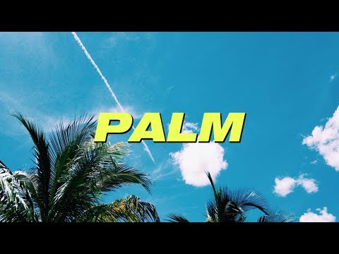 ASSET X NAP THE KID X ATEE - 'PALM'
