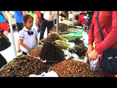 Angeblich köstlich: Frittierte Tarantel