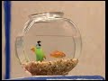 Elmo S World Birds Song With Wild Wild West Song Instrumental