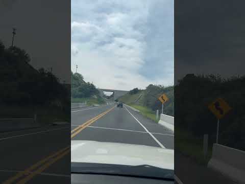 Variante de Hobo Huila #colombia