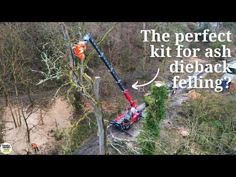 Wie der Teleskoplader von Magni die „hohen Ambitionen“ des Bauunternehmers erfüllt