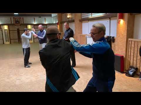 Ving Tsun Chi Sao Training