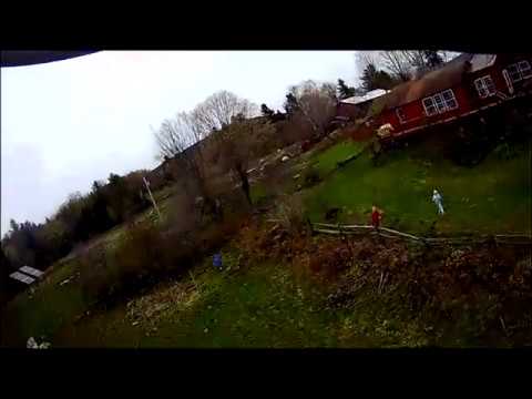 05 12 19 Tree Crash2