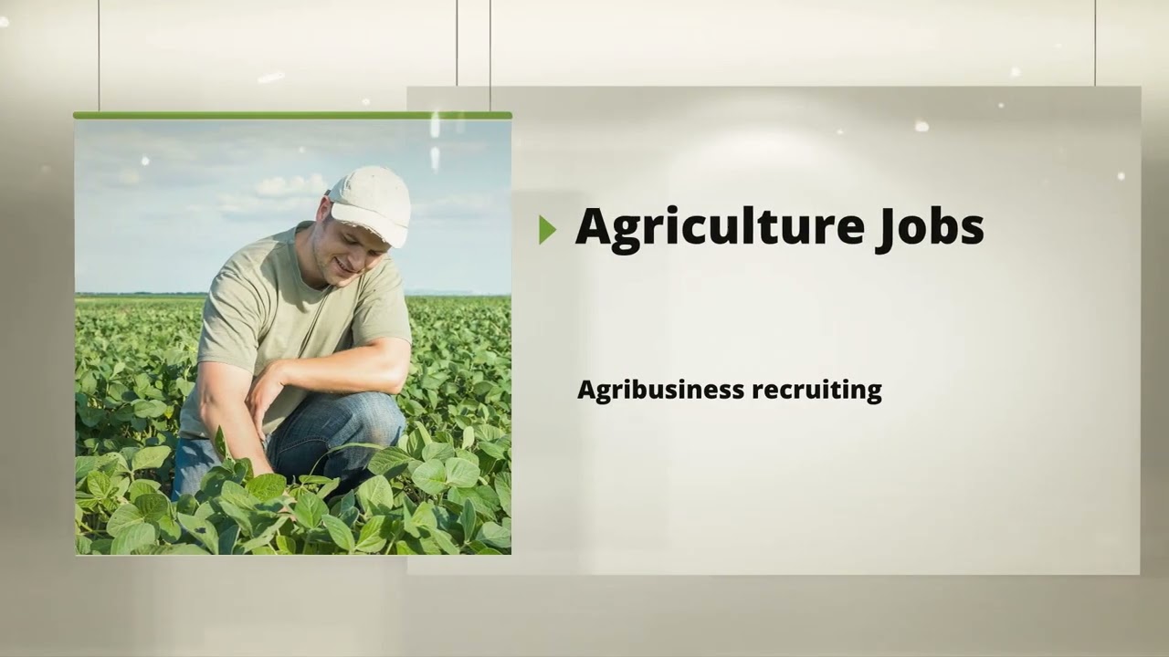 What do companies look for in a job hiring process?