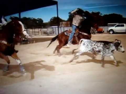 Team Roping video