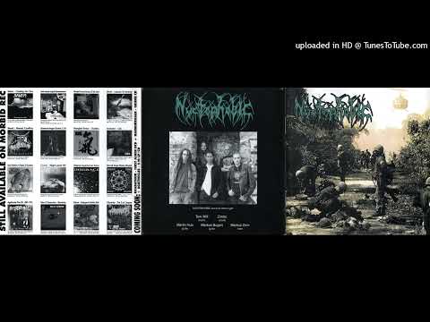 Nyctophobic - War Criminal Views